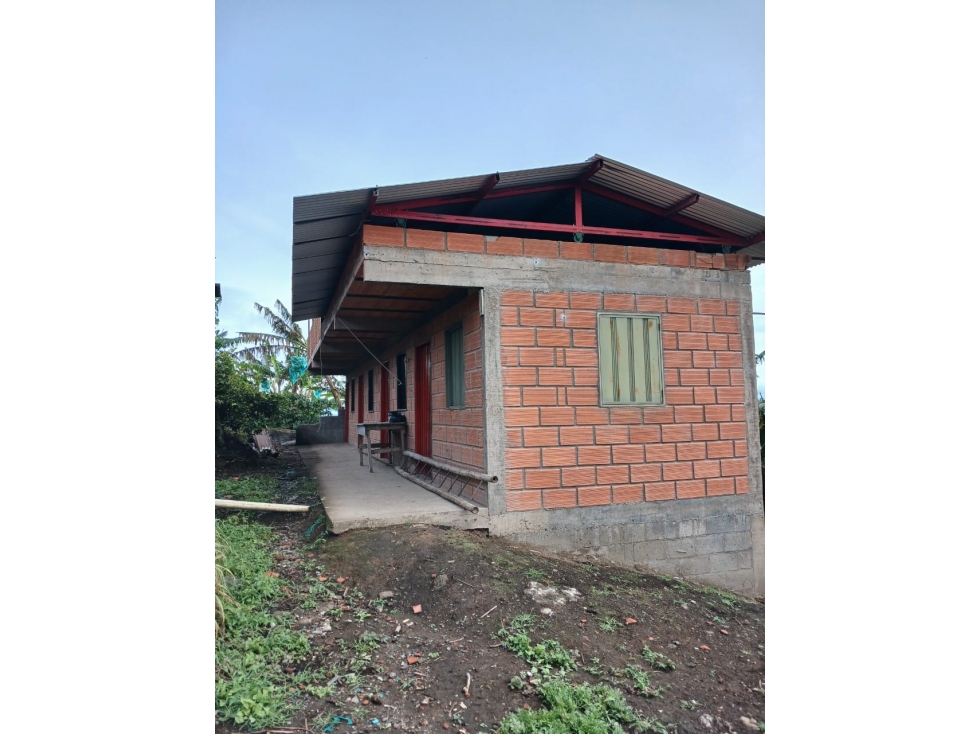 VENTA FINCA EN AGUADAS, CALDAS, VEREDA LA MERMITA - 1