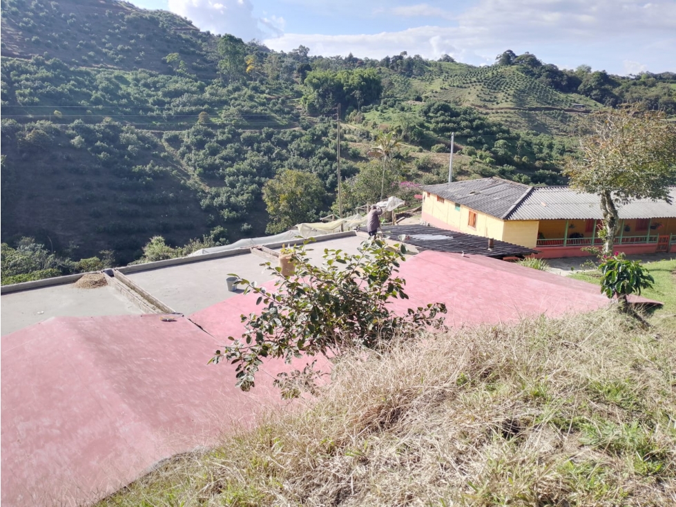 VENTA FINCA JERICO, SECTOR PALOCABILDO - 6