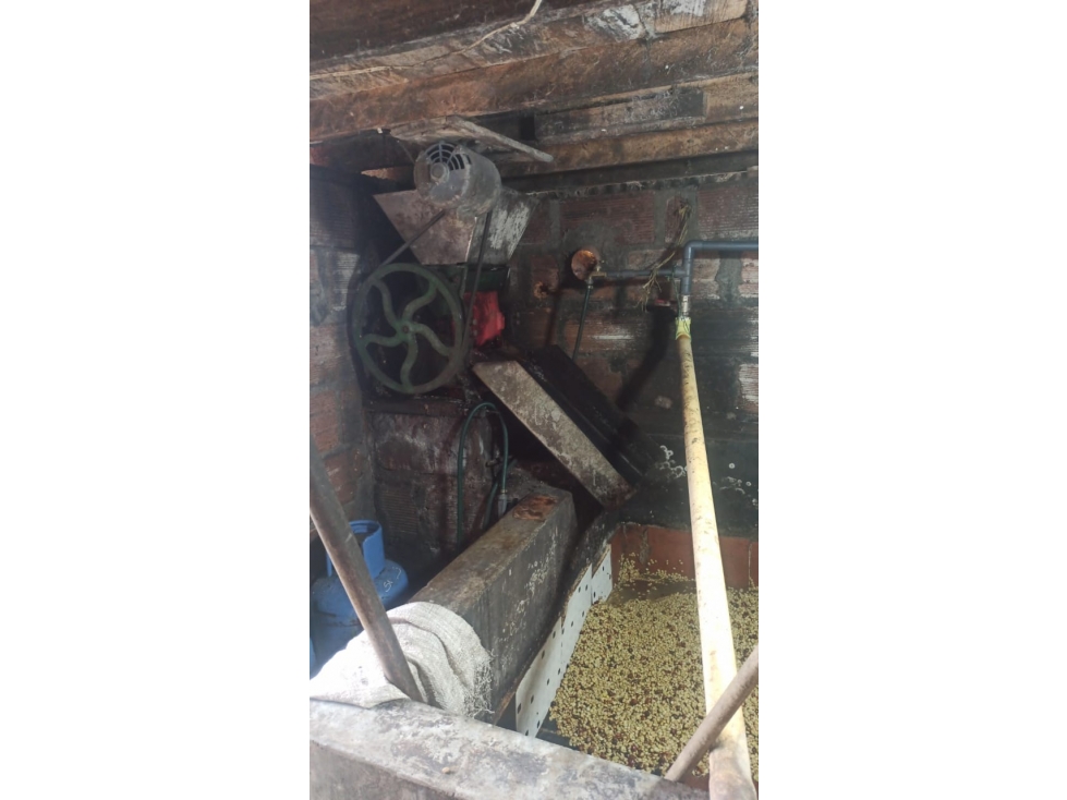 VENTA FINCA EN JARDIN, VEREDA MORRO AMARILLO - 6