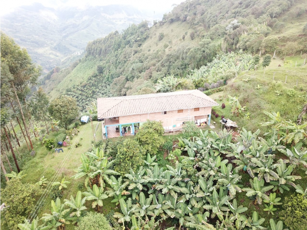 VENTA FINCA EN JARDÍN, VEREDA SERRANÍAS - 5