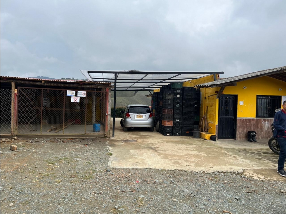 VENTA FINCA AGUACATES EN AGUADAS, CALDAS, VEREDA PORE - 1