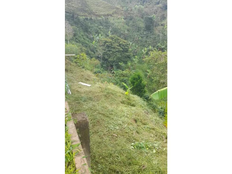 VENTA FINCA CAFETERA EN BARBOSA, ANTIOQUIA - 6