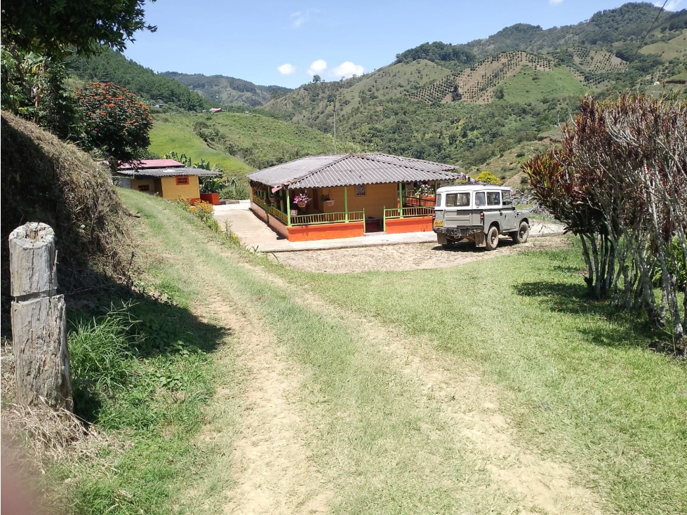 VENTA FINCA JERICO, SECTOR PALOCABILDO - 1