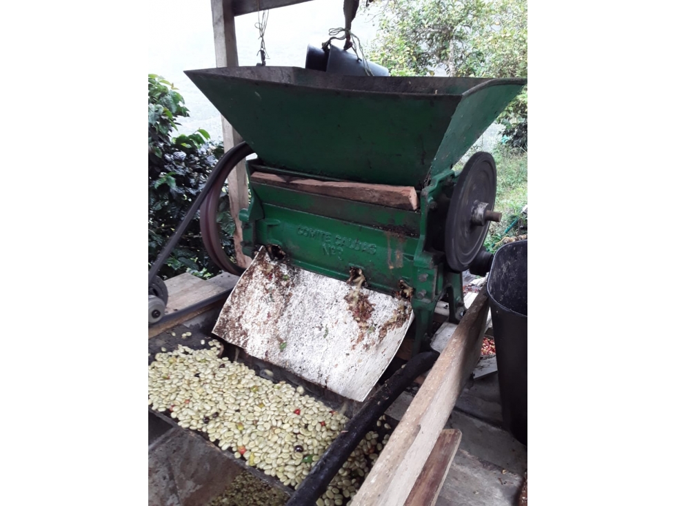 VENTA FINCA-LOTE EN JARDÍN, VEREDA GIBRALTAR - 4