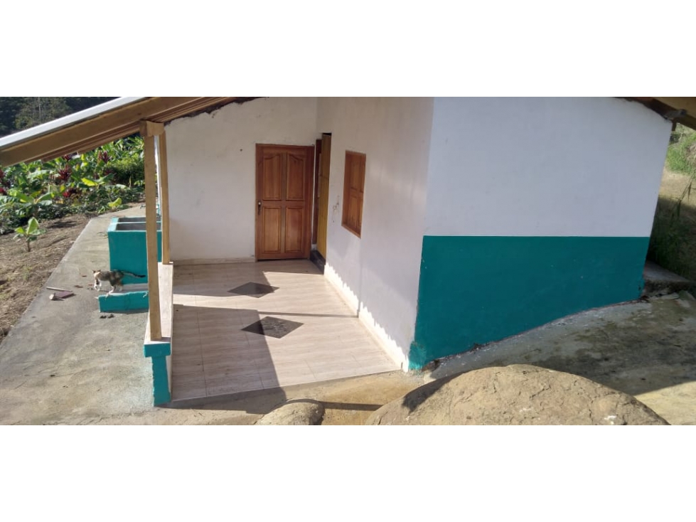 VENTA FINCA EN JARDIN, VEREDA LA CASIANA - 2