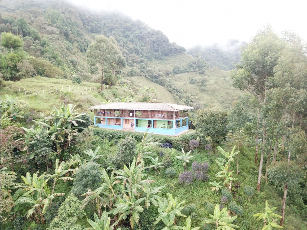 VENTA FINCA EN JARDÍN, VEREDA SERRANÍAS - 6