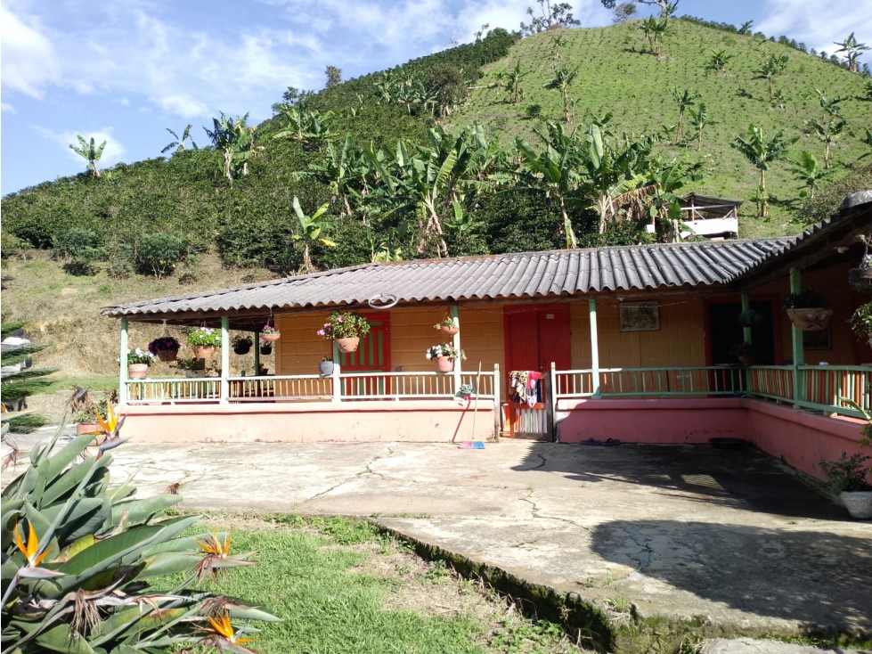 VENTA FINCA JERICO, SECTOR PALOCABILDO - 3