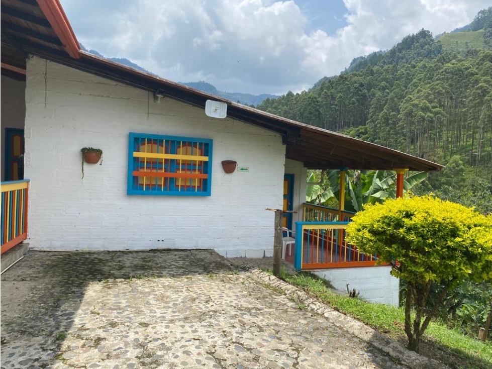 VENTA-CAMBIO FINCA EN JARDIN, SECTOR LA SALADA - 4