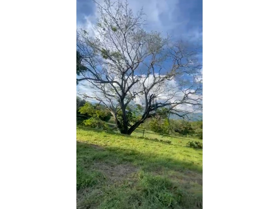 VENTA LOTE SANTA FE DE ANTIOQUIA, SECTOR PAN GORDITO — foto 2