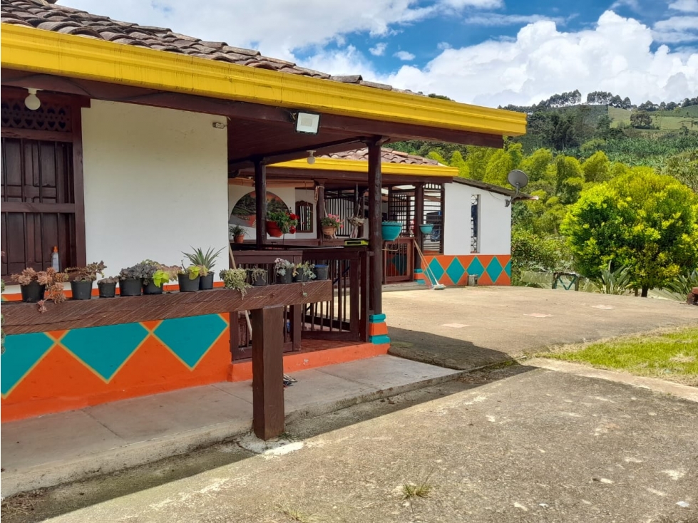 VENTA FINCA EN JARDIN VEREDA CASIANA - 6