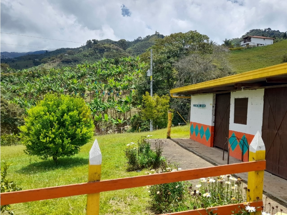 VENTA FINCA EN JARDIN VEREDA CASIANA - 4