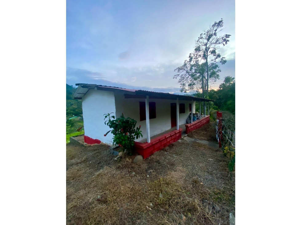 VENTA LOTE CON CABAÑA EN JARDIN, SECTOR SAN BARTOLO - 2