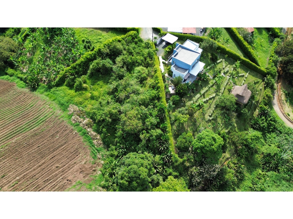 Se Vende Lote en Sabanitas - Pereira — foto 3