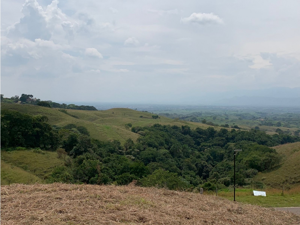 Se Vende Lote Vía Cartago - Cerritos, Pereira — foto 4