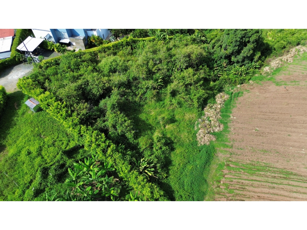 Se Vende Lote en Sabanitas - Pereira — foto 5