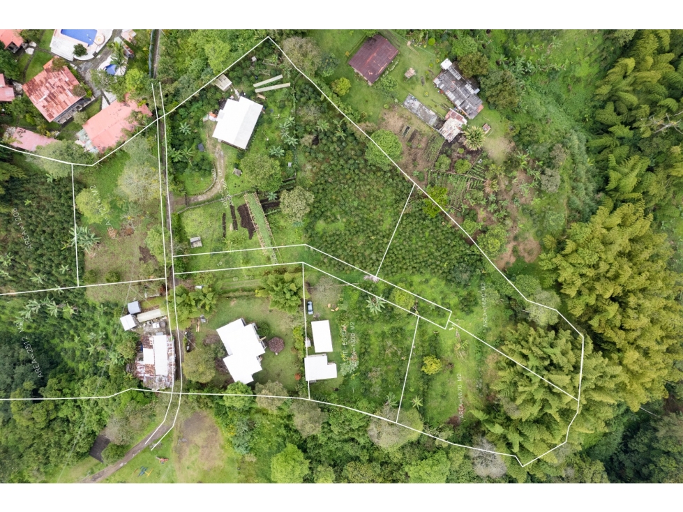 Se Vende Lote en Mundo Nuevo - Pereira — foto 3