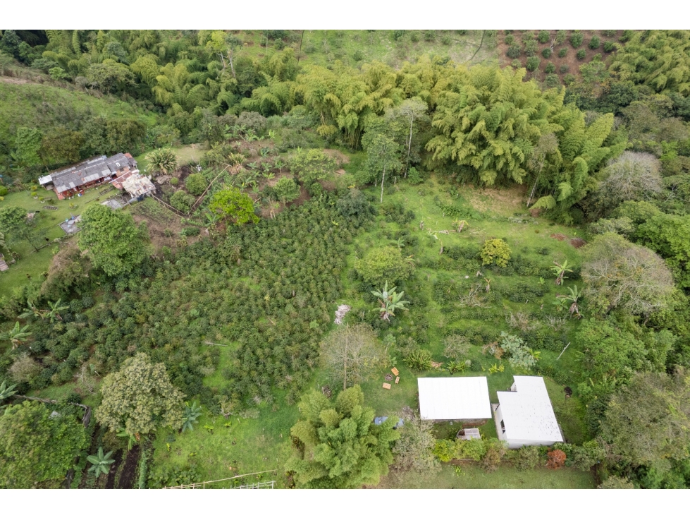 Se Vende Lote en Mundo Nuevo - Pereira — foto 4