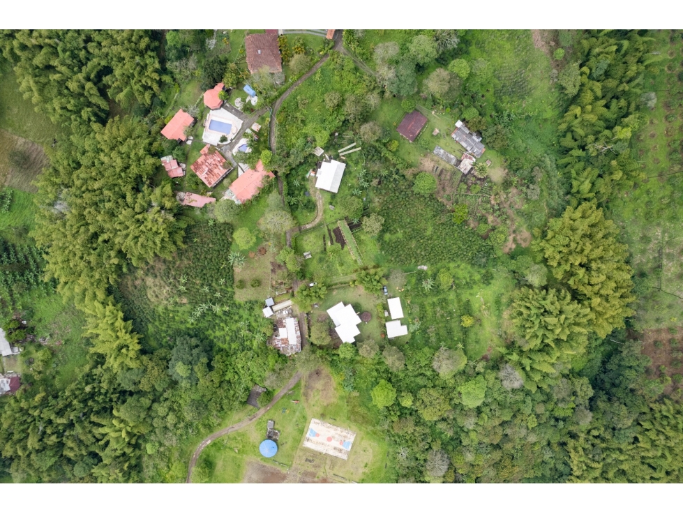 Se Vende Lote en Mundo Nuevo - Pereira — foto 2