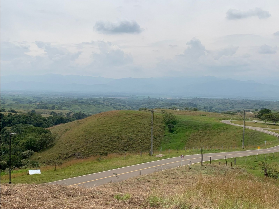 Se Vende Lote Vía Cartago - Cerritos, Pereira — foto 5