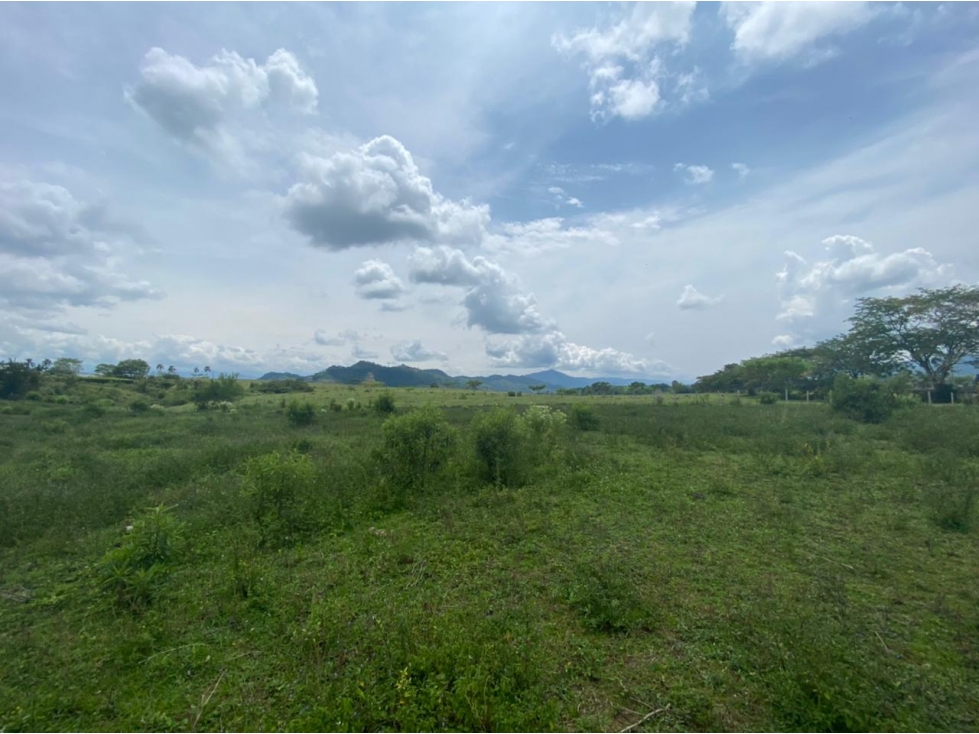 Se Vende Lote en Cerritos - Cartago, Pereira — foto 3