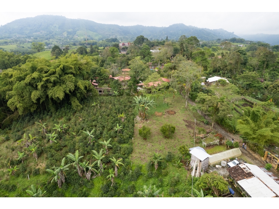 Se Vende Lote en Mundo Nuevo - Pereira — foto 5