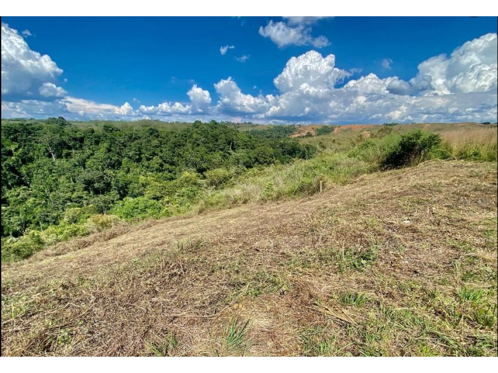 Se Vende Lote en Cerritos - Cartago, Pereira