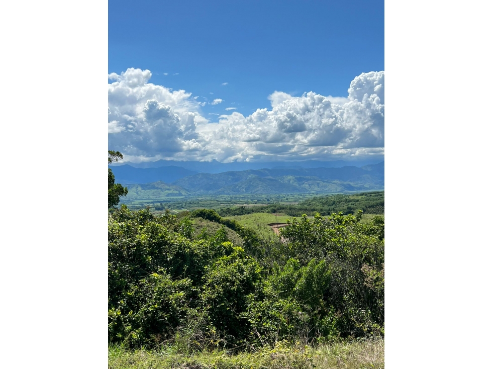Se Vende Lote Vía Cartago - Cerritos, Pereira — foto 2