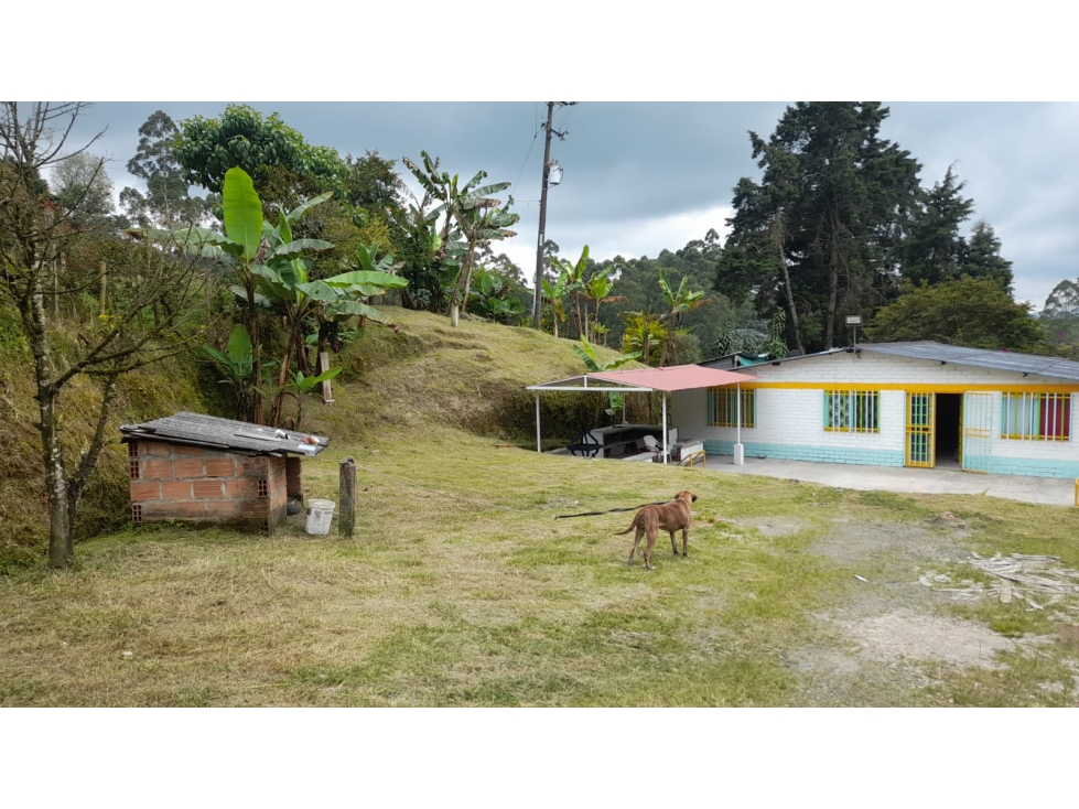 Se Vende Casa Campestre en Santa Rosa de Cabal — foto 2