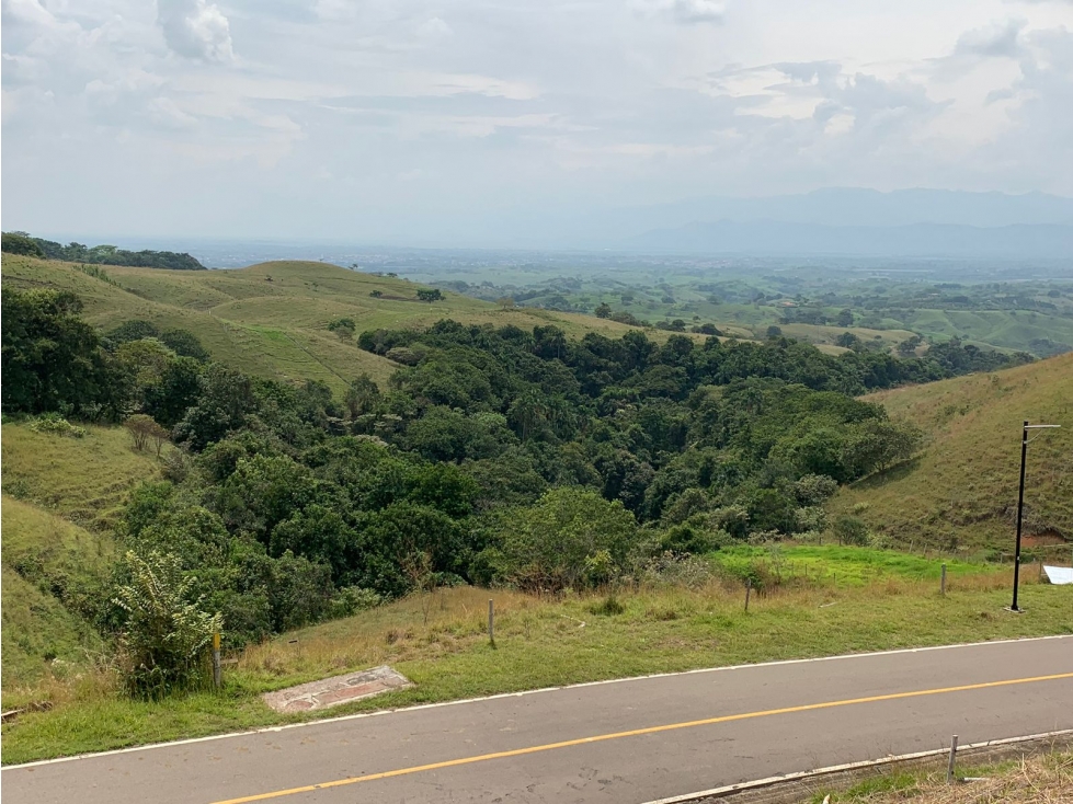 Se Vende Lote Vía Cartago - Cerritos, Pereira — foto 6