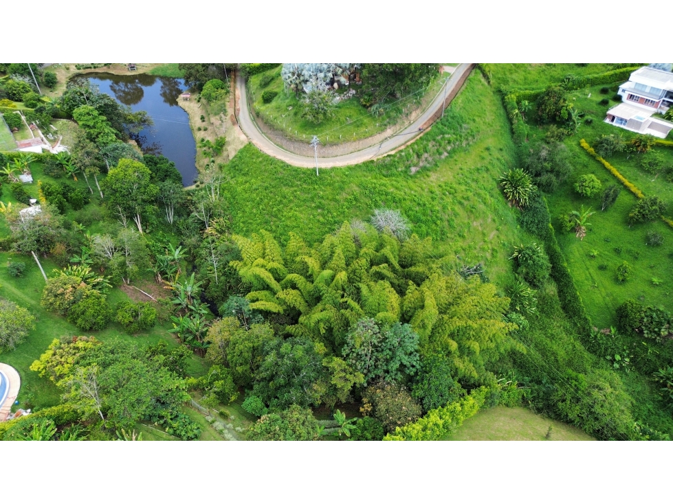 Se Vende Lote en Sabanitas - Pereira — foto 5