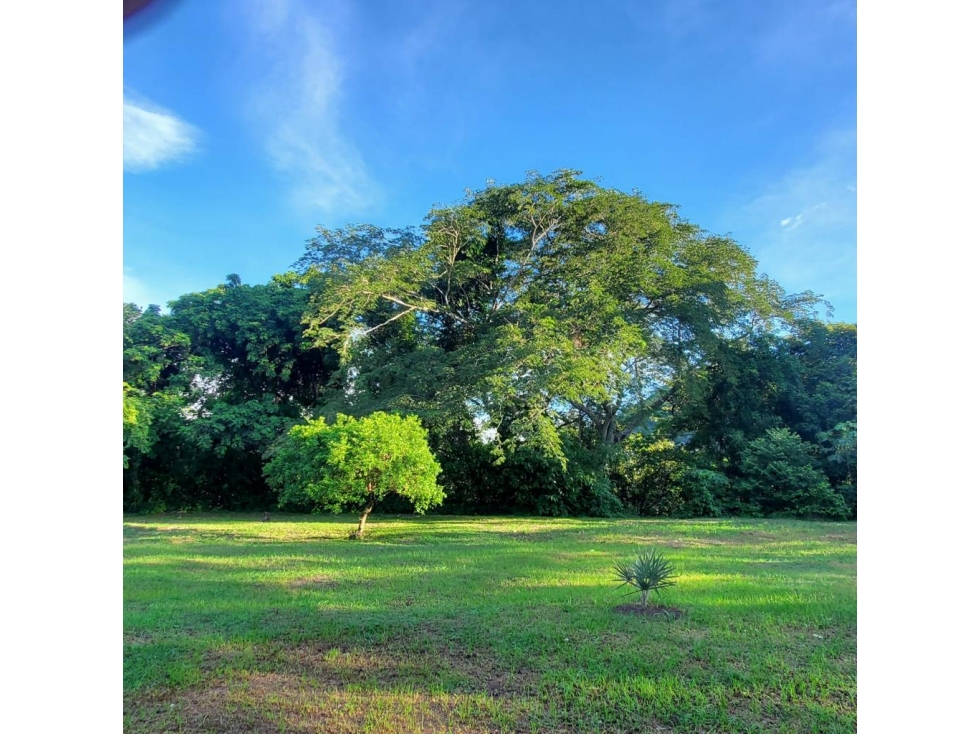Se Vende Casa Campestre en Honda - Mariquita, Tolima - 4