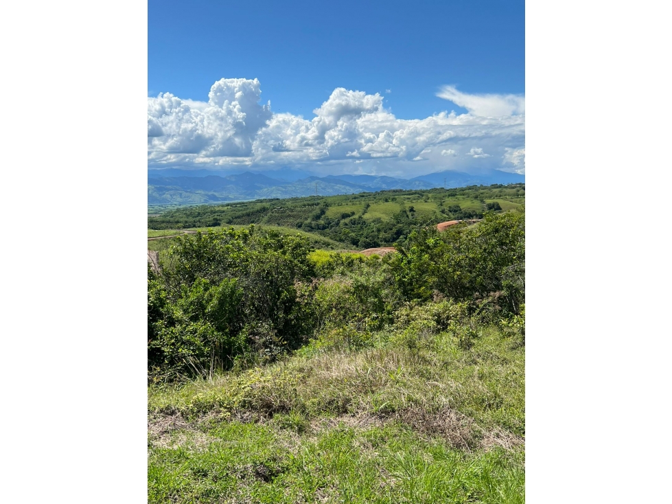 Se Vende Lote Vía Cartago - Cerritos, Pereira — foto 3