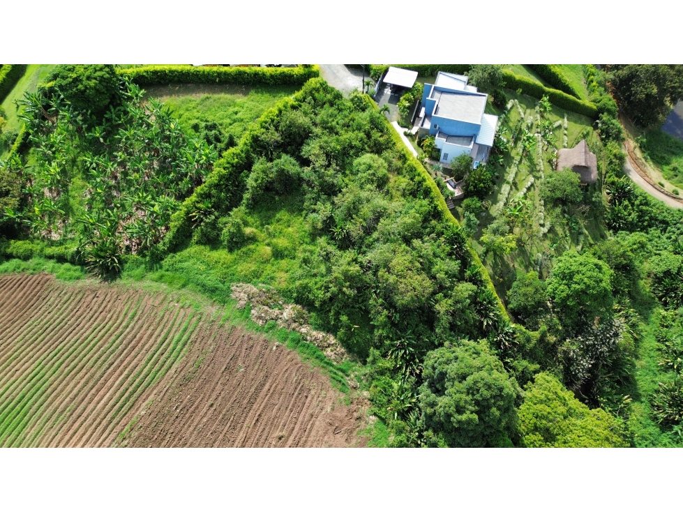 Se Vende Lote en Sabanitas - Pereira