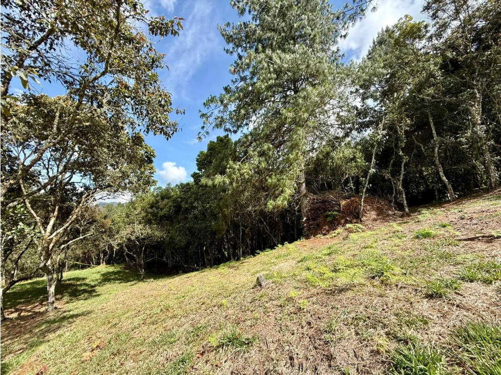 Venta lote en exclusiva parcelación cerrada. Alto de Palmas. Oriente. — foto 4