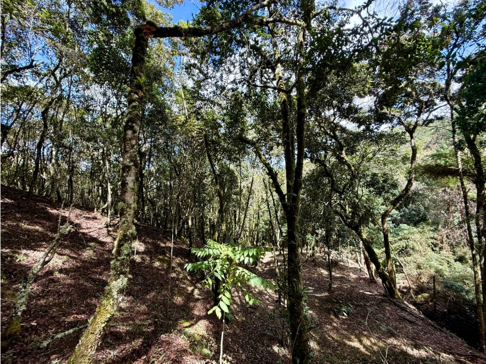 Venta lote en exclusiva parcelación cerrada. Alto de Palmas. Oriente. — foto 5