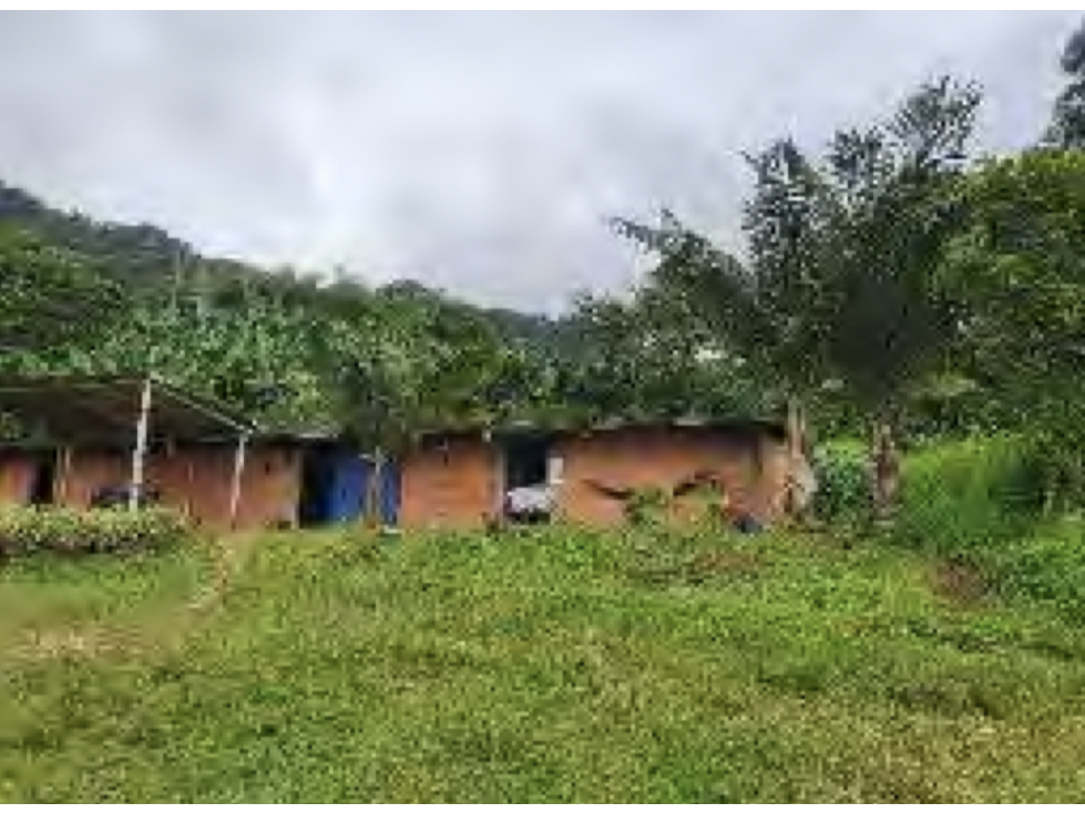 Venta Finca agropecuaria o agrícola. Calarcá, Quindio — foto 3