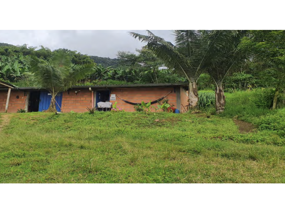 Venta Finca agropecuaria o agrícola. Calarcá, Quindio — foto 5