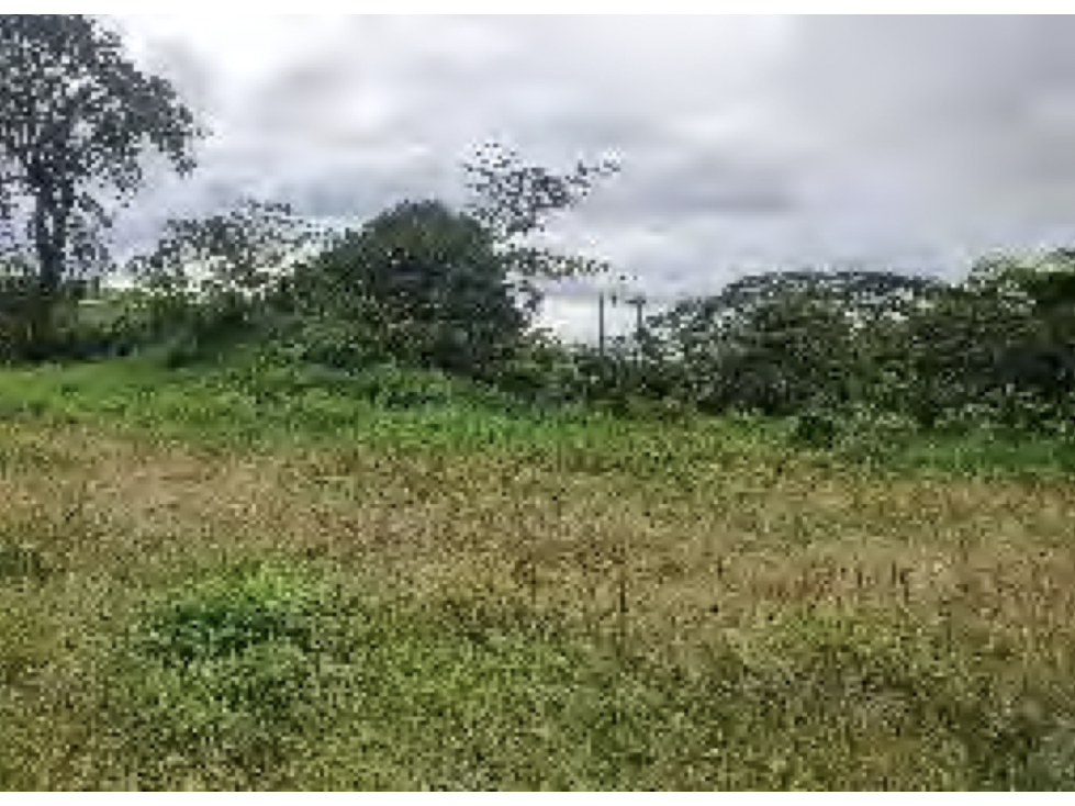Venta Finca agropecuaria o agrícola. Calarcá, Quindio — foto 2