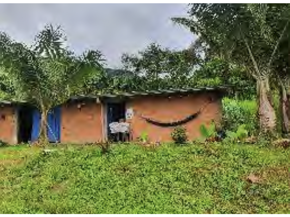 Venta Finca agropecuaria o agrícola. Calarcá, Quindio — foto 6