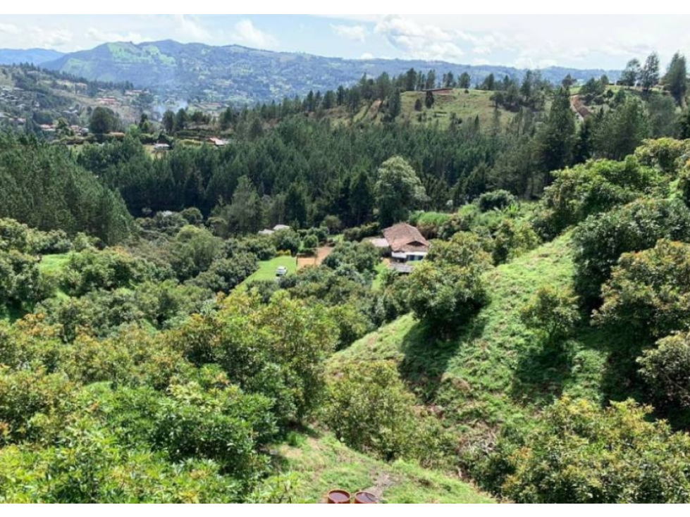 Venta lote en Guarne, Antioquia. — foto 3