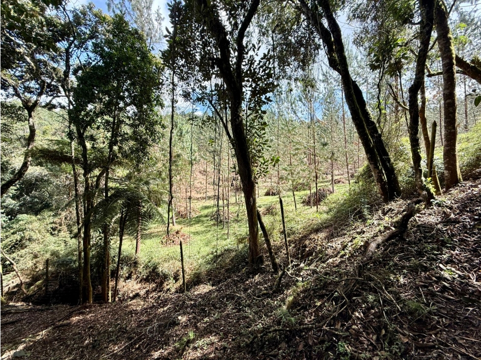 Venta lote en exclusiva parcelación cerrada. Alto de Palmas. Oriente. — foto 6