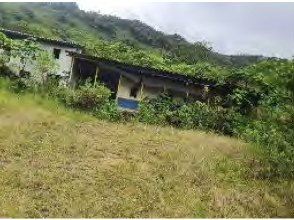 Venta Finca agropecuaria o agrícola. Calarcá, Quindio — foto 4