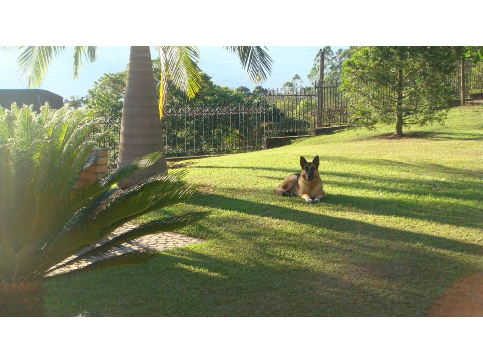 Venta casa, vista panorámica. Las Palmas, Sector Chuscalito. — foto 3