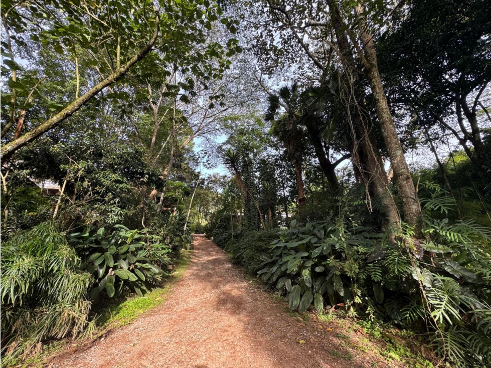 Venta lote en El Poblado, excelente ubicación. — foto 5