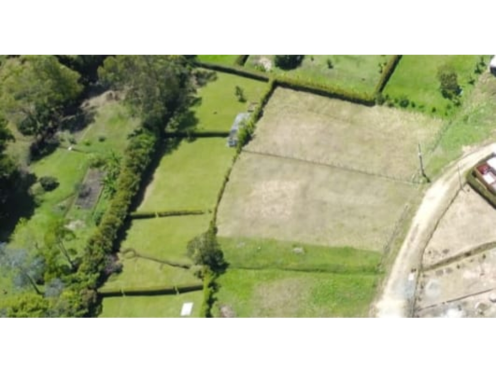 Lote en Venta en Guarne Antioquia Vereda Toldas