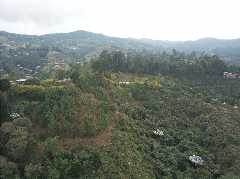 Lote en venta en Guarne Antioquia Vereda Sango