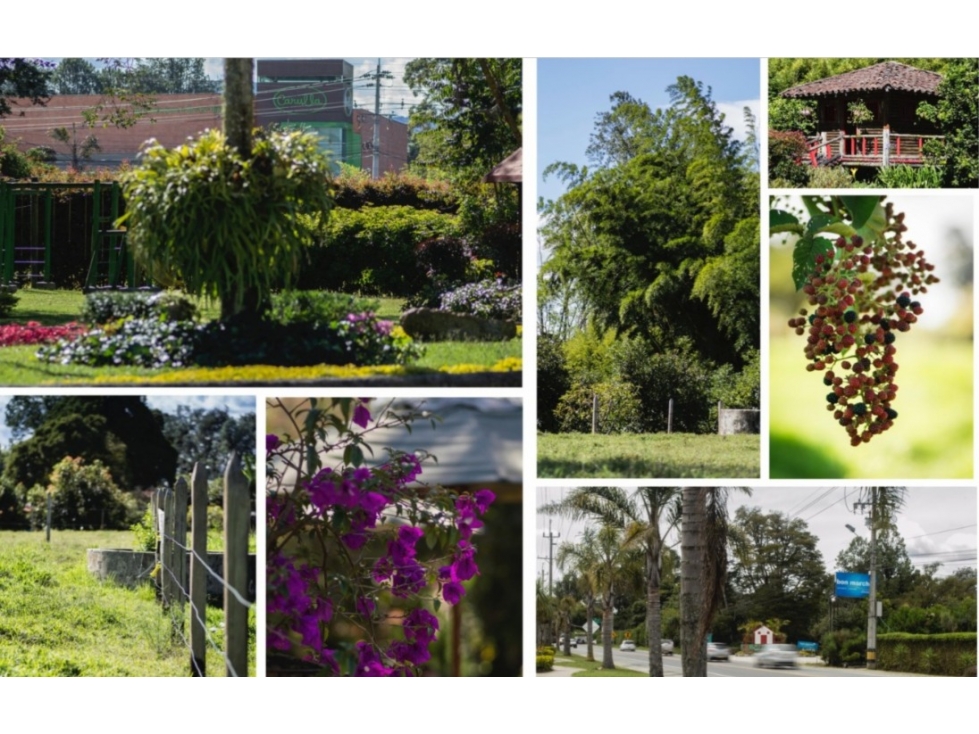 Lote en Venta en Rionegro Antioquia Sector Llanogrande — foto 3