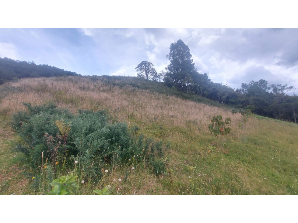 Lote en Venta en Parcelación en el Alto de Escobero — foto 2