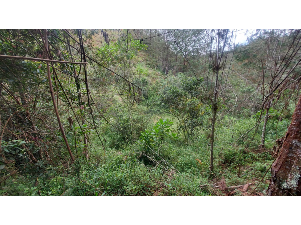 Lote en Venta en San Viecente de Ferrer Vda San Nicolas — foto 3