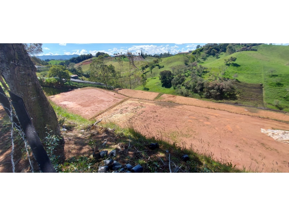 Lote en Venta en El Carmen de Viboral Vereda el Salado